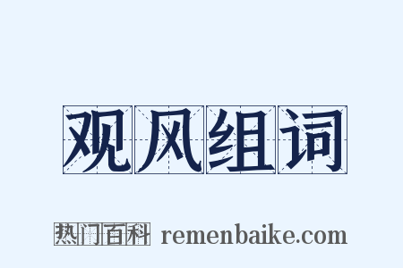 观风组词是什么意思的图片